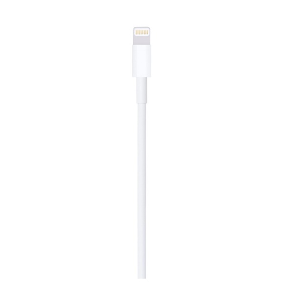 Lightning to USB Cable (1 m) - Picture 2 of 4